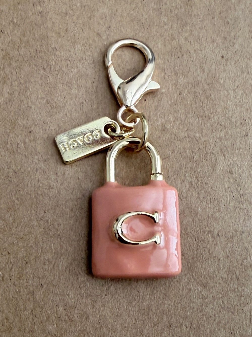 Pink Enamel Padlock Zipper Pull Charm with Gold Hardware